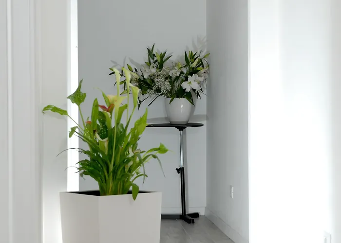 Gardenia